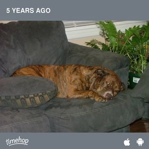 Meet your Posher, Maria